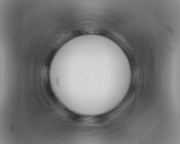X0000113560121200910161505