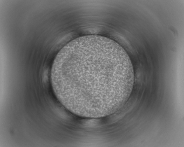 X0000113560122200910161505