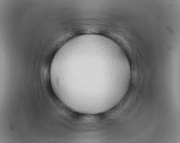 X0000113560123200910161505