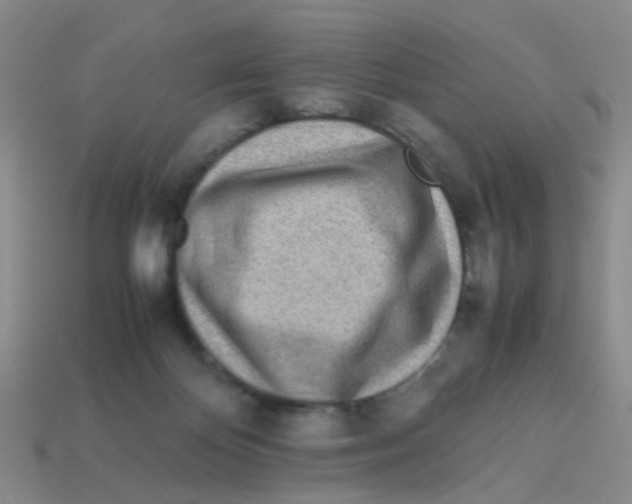 X0000113560124200910161504