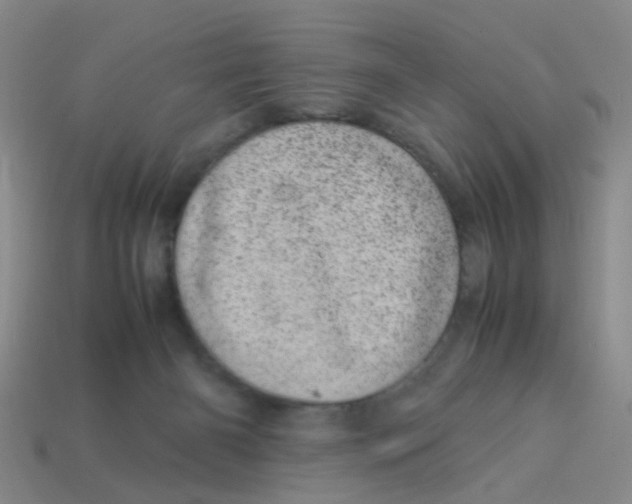 X0000113560126200910161504