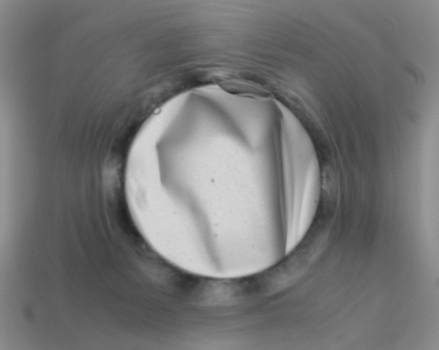X0000113560127200910161504