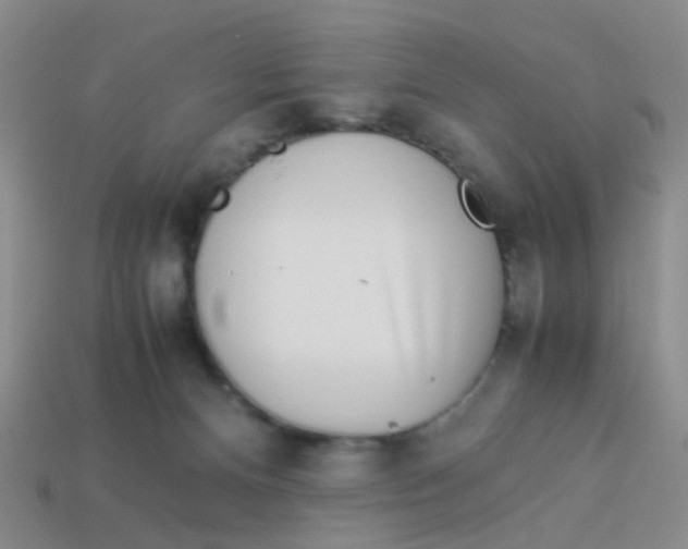 X0000113560128200910161504