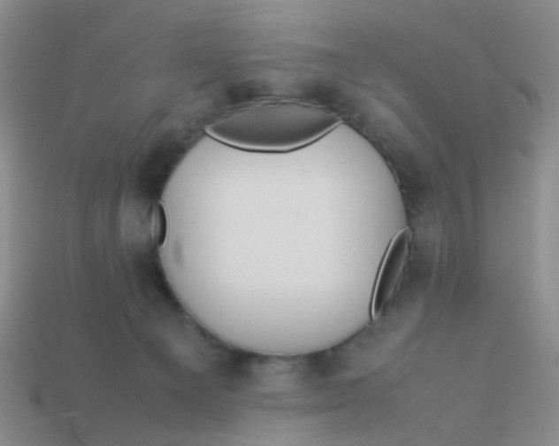 X0000113560129200910161504