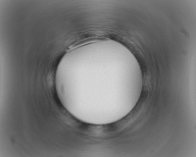 X0000113560131200910161504