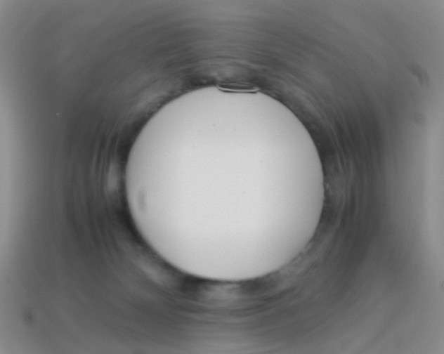 X0000113560132200910161504