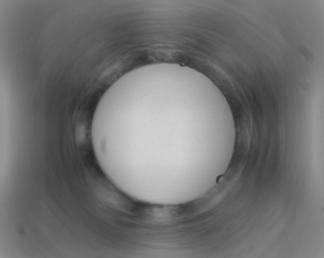 X0000113560134200910161504