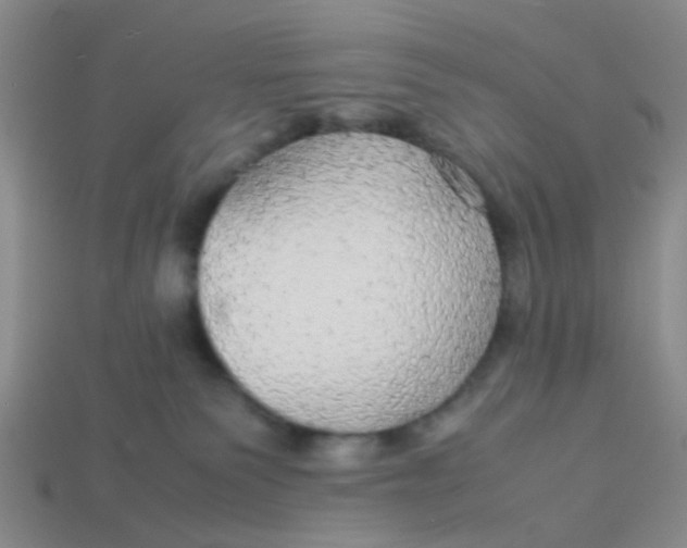 X0000113560135200910161504
