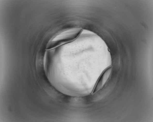 X0000113560137200910161504