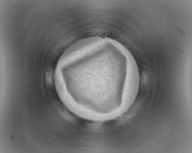 X0000113560138200910161504
