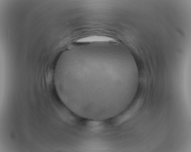 X0000113560139200910161504
