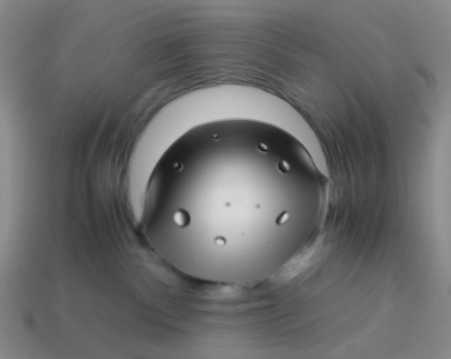 X0000113560140200910161504