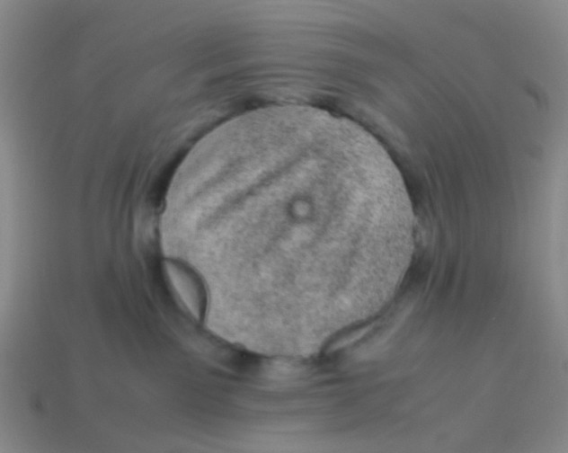 X0000113560141200910161504