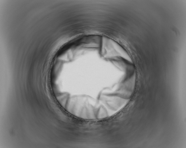 X0000113560145200910161503