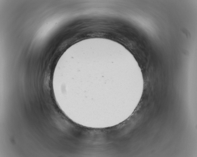 X0000113560146200910161503