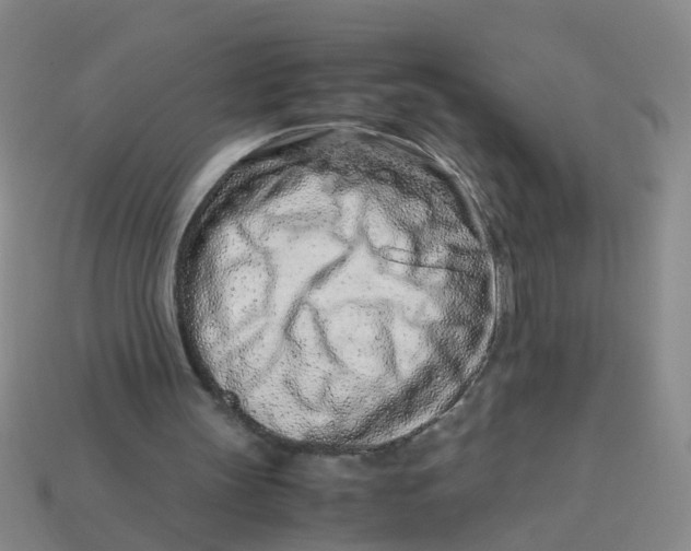 X0000113560147200910161503