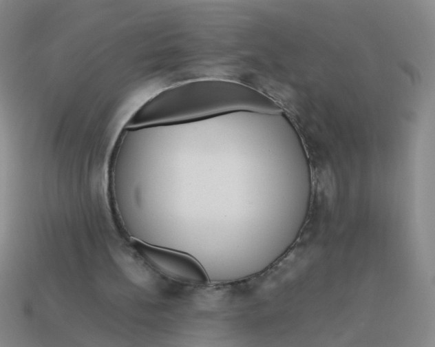 X0000113560148200910161503