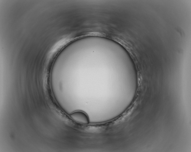 X0000113560149200910161503
