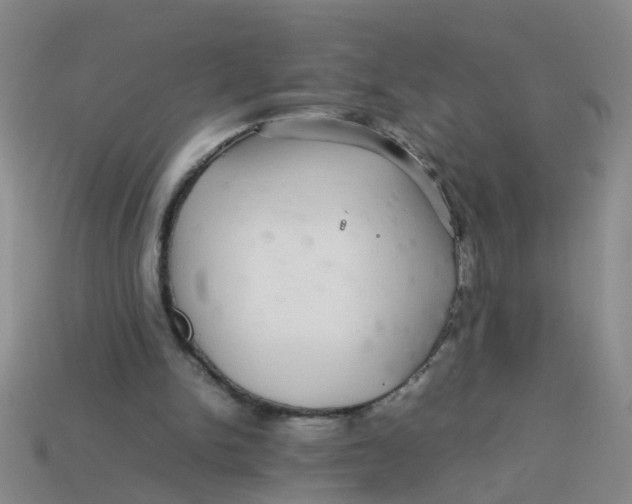 X0000113560150200910161503