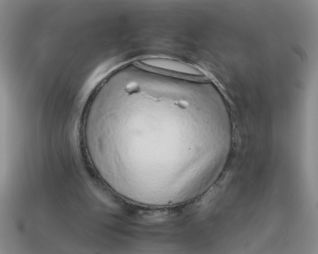 X0000113560151200910161503