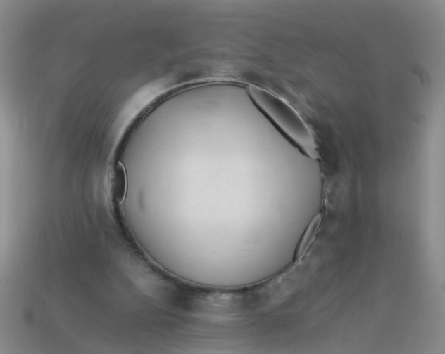 X0000113560152200910161503