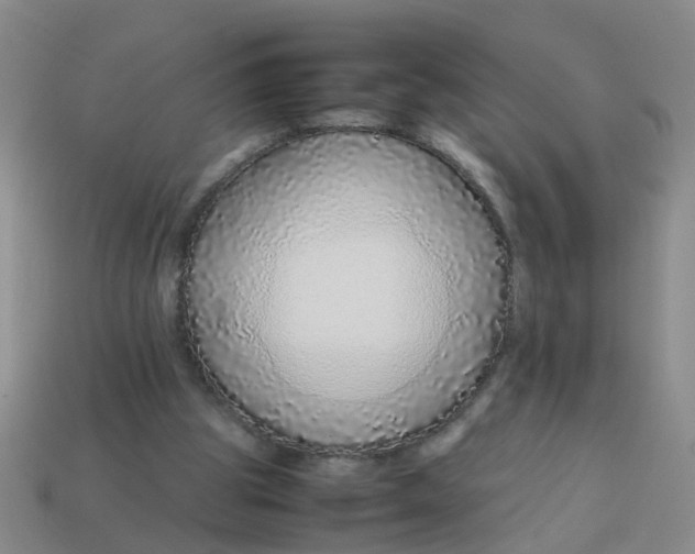 X0000113560153200910161503