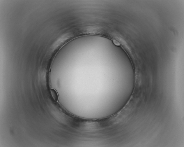 X0000113560154200910161503