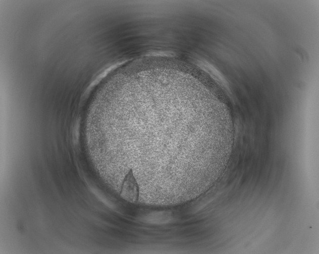 X0000113560155200910161503