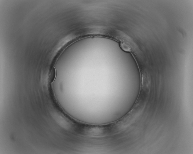 X0000113560156200910161503
