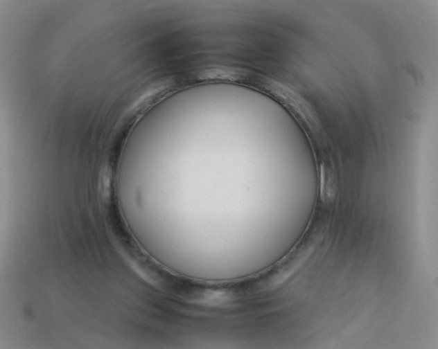 X0000113560157200910161503