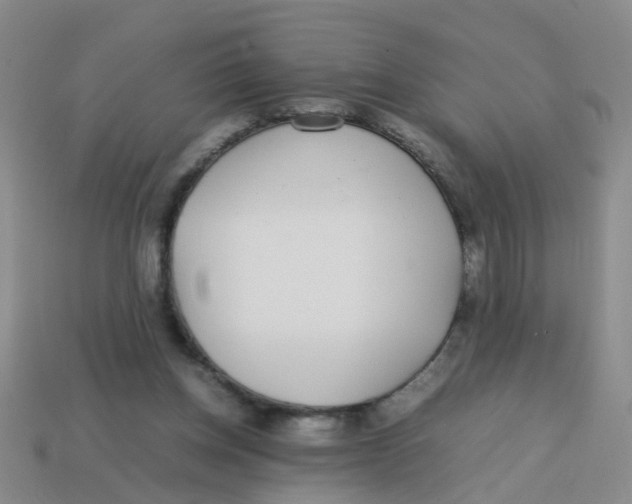 X0000113560158200910161503