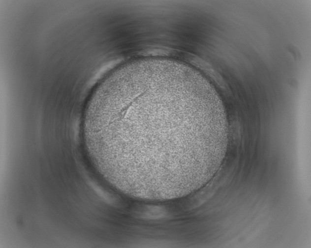 X0000113560159200910161503