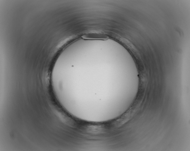 X0000113560160200910161503