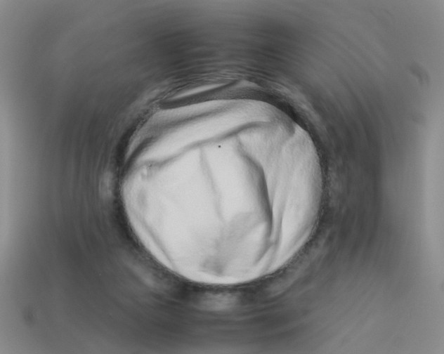 X0000113560161200910161503