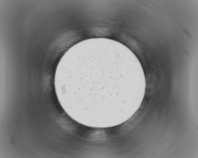 X0000113560162200910161503