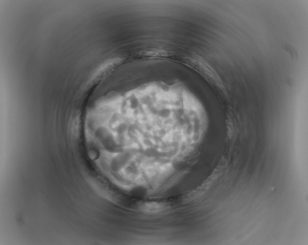 X0000113560163200910161503