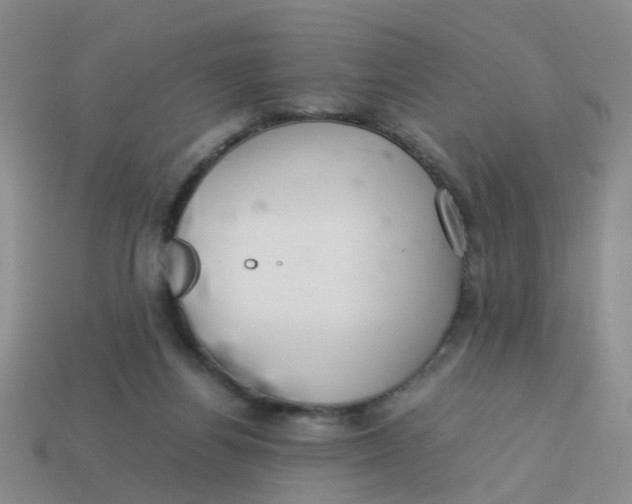 X0000113560164200910161504