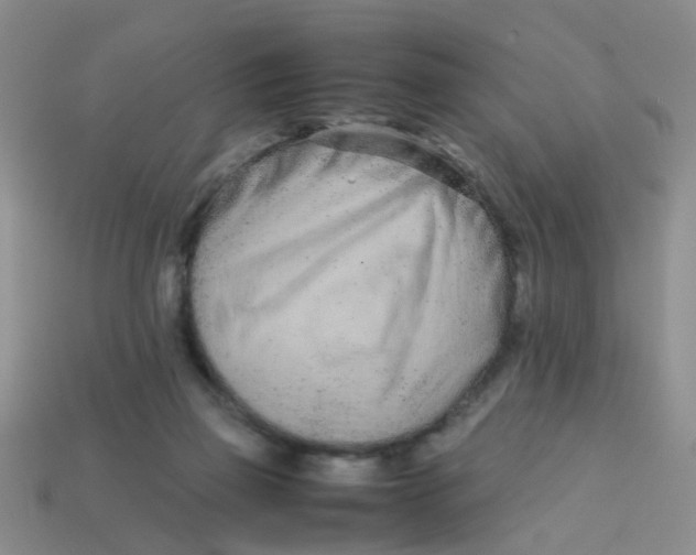 X0000113560165200910161504