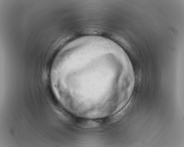 X0000113560166200910161504
