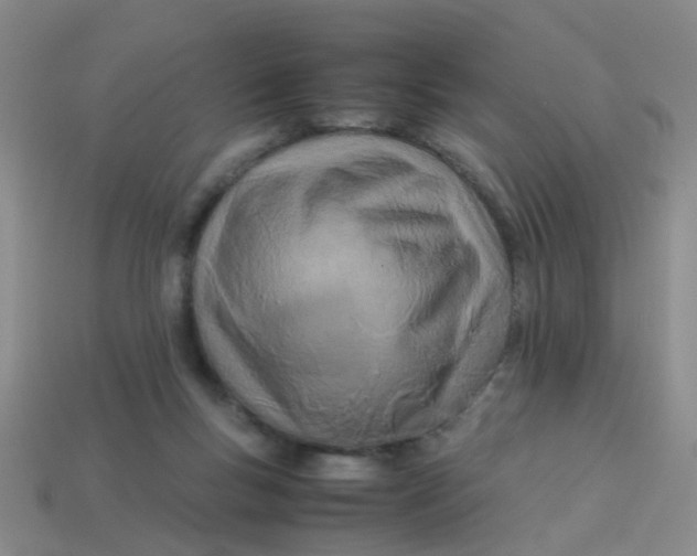 X0000113560167200910161504