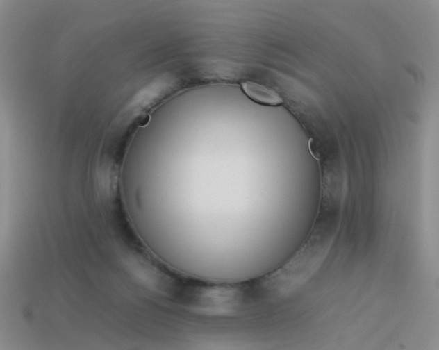 X0000113560168200910161504