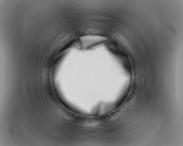 X0000113560169200910161504