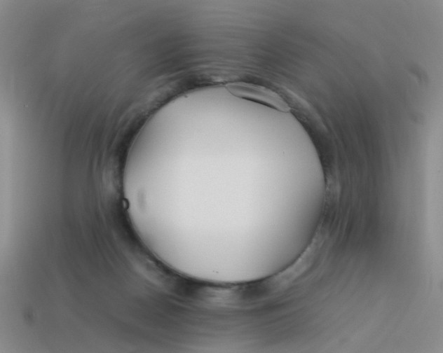 X0000113560170200910161504
