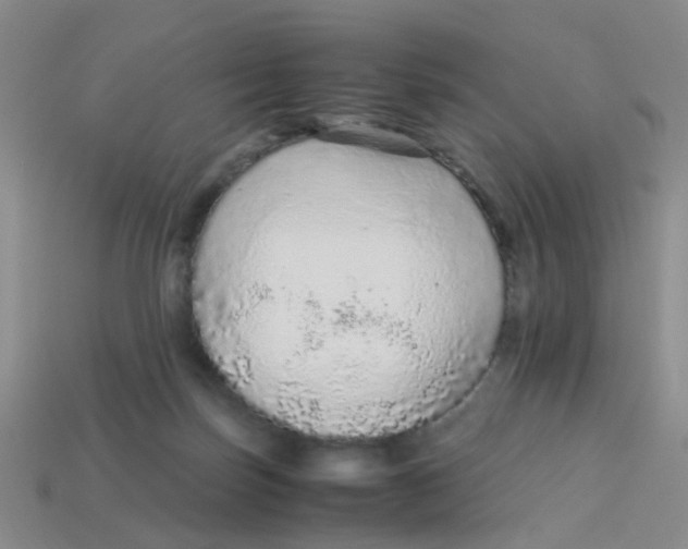 X0000113560171200910161504