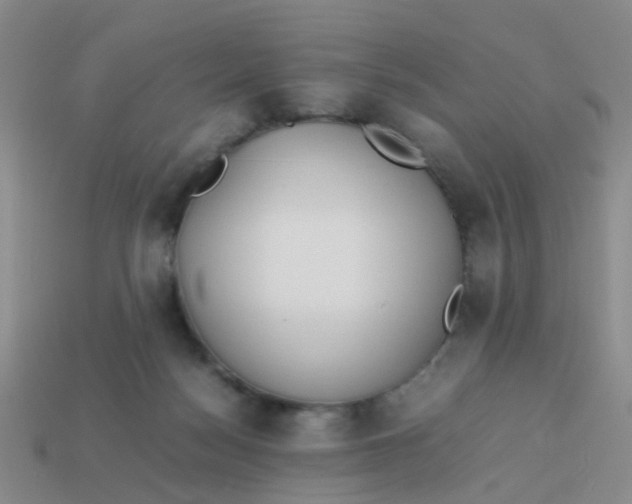 X0000113560172200910161504