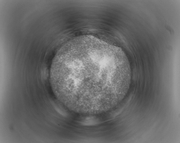 X0000113560173200910161504