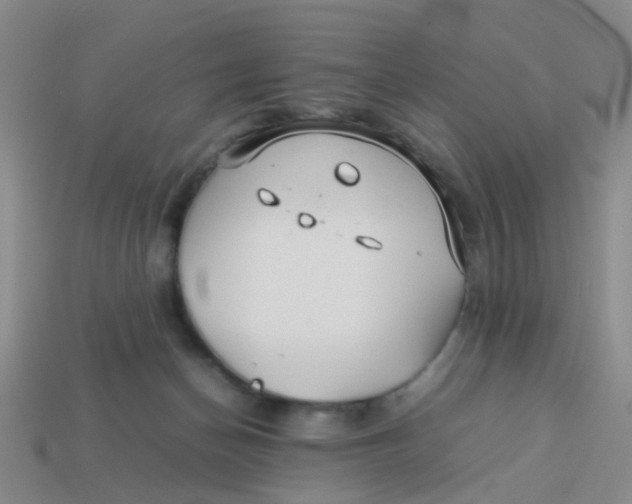 X0000113560174200910161504