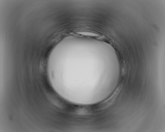 X0000113560175200910161504