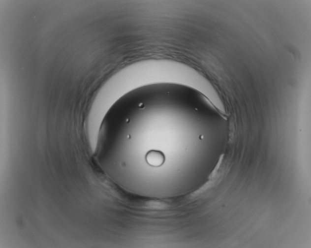 X0000113560176200910161504