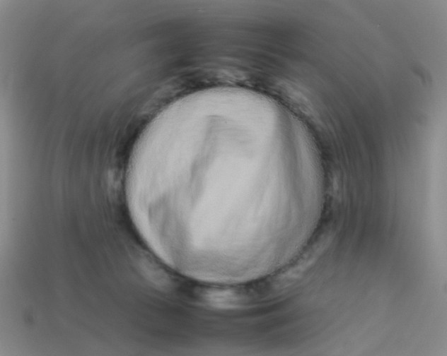 X0000113560177200910161504